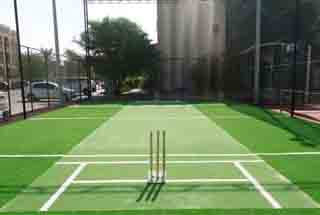 Cricket Court